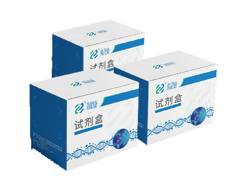 大鼠肺炎病毒(PVM)ELISA抗体检测试剂盒
